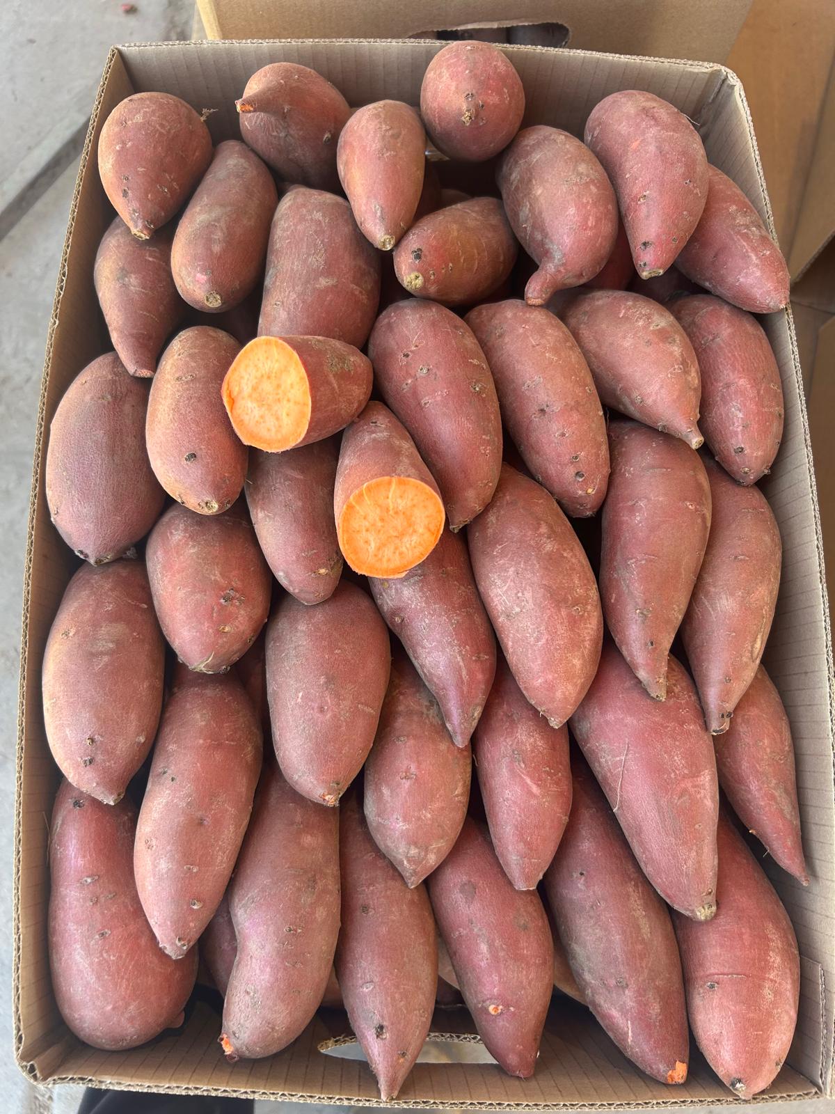 Fresh Produce Hand Packed
