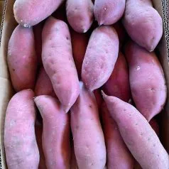 Dry Hand Packed Premium Sweet Potatoes