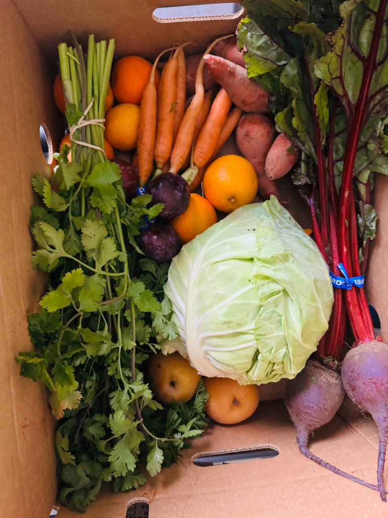 Produce Boxes Solutions