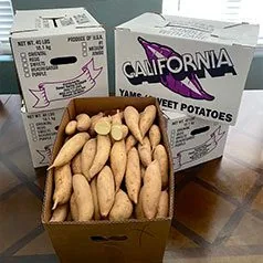 Bonita Sweet Potatoes - Wholesale farm fresh
