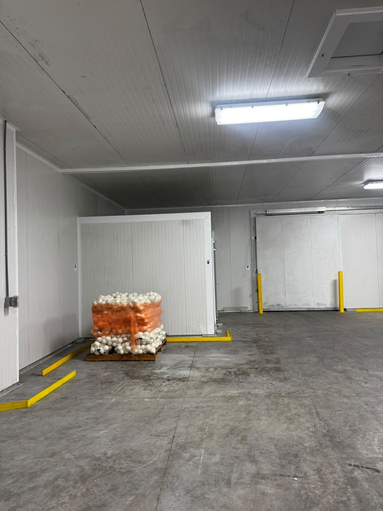 Refrigerated Storage & Cold Chain