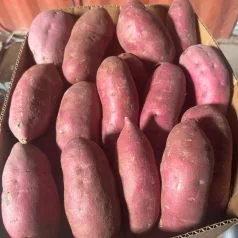 Cleaned and Washed Sweet Potatoes